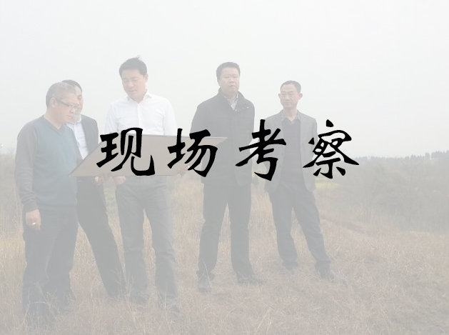 現(xiàn)場考察公司