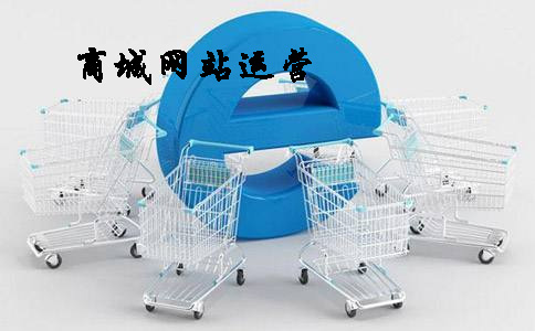商城網(wǎng)站開發(fā)